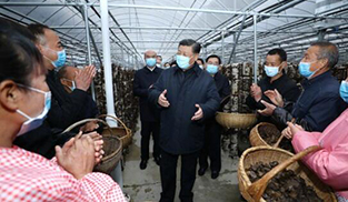 習近平在金米村直播平臺話脫貧