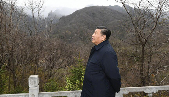 習近平的“大山情”
