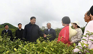 習近平在平利縣考察脫貧攻堅情況