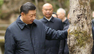 習近平:要做守護秦嶺生態(tài)的衛(wèi)士