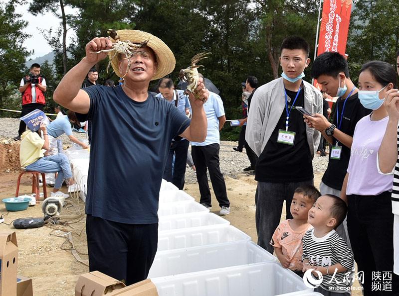 漢陰縣平梁鎮(zhèn)清河村村民胡小平推介大閘蟹。