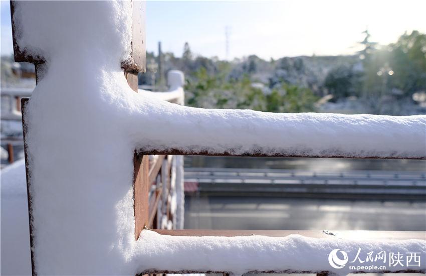 11月6日晚，古城西安迎來2021年第一場雪。吳超攝