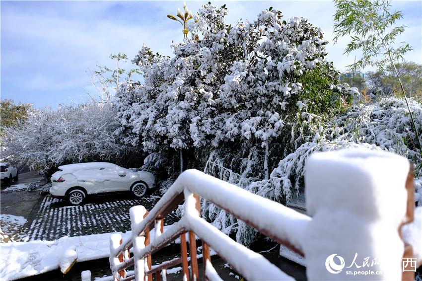 11月6日晚，古城西安迎來2021年第一場雪。吳超攝