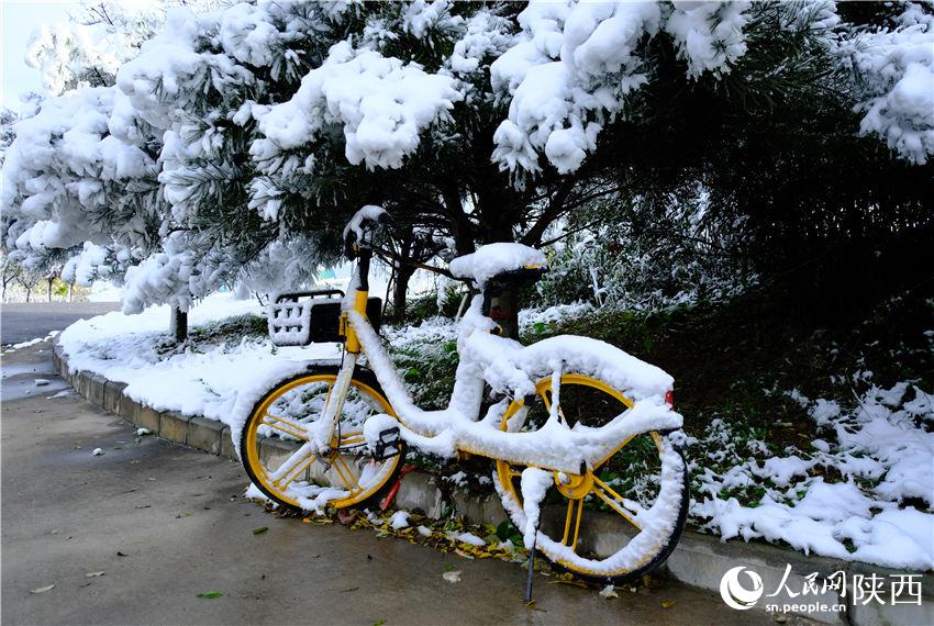 11月6日晚，古城西安迎來(lái)2021年第一場(chǎng)雪。吳超攝