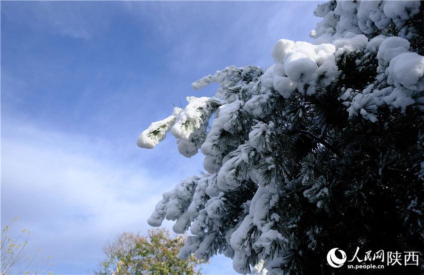 11月6日晚，古城西安迎來(lái)2021年第一場(chǎng)雪。吳超攝
