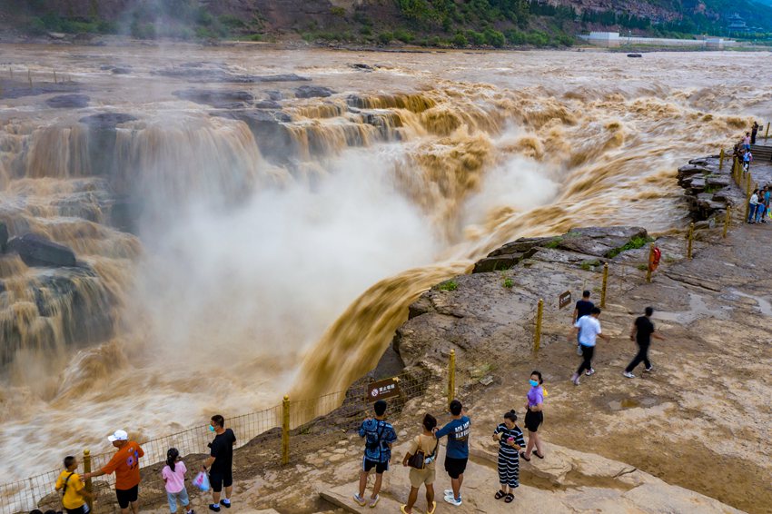 陜西壺口瀑布現(xiàn)“金瀑飛流”奇觀。黃河壺口瀑布旅游區(qū)供圖