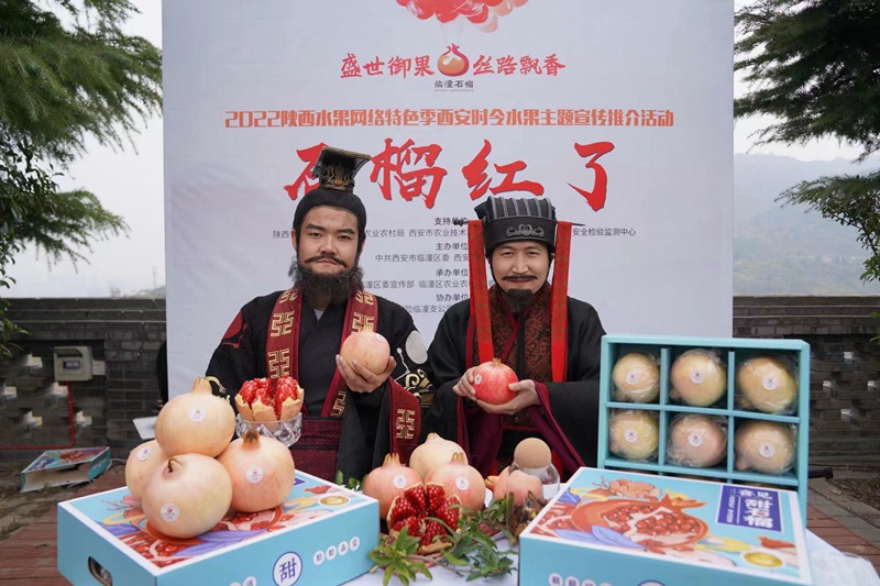 2022陜西水果網(wǎng)絡(luò)特色季?西安時令水果“石榴紅了”主題宣傳推介活動現(xiàn)場。王三合攝