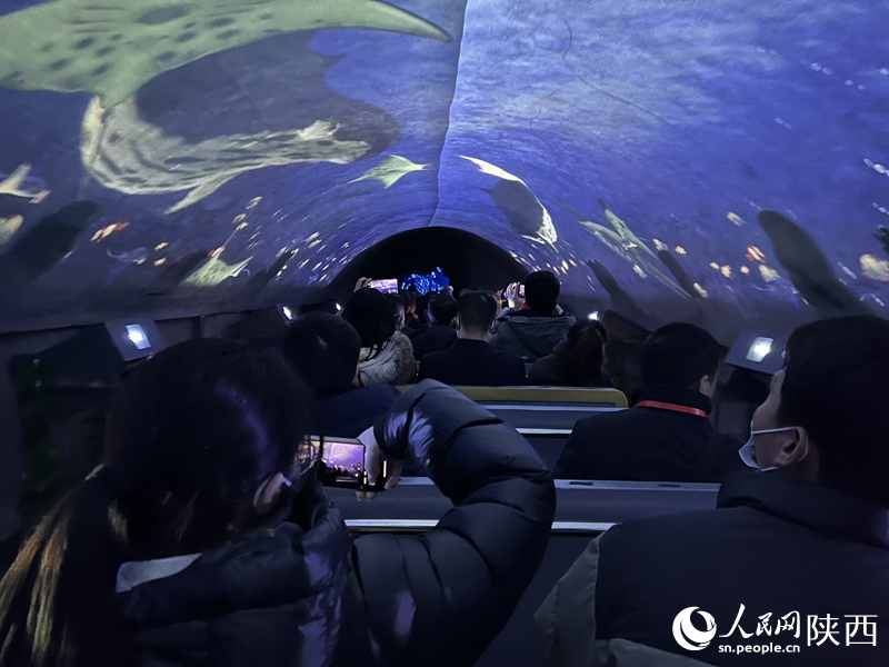 秦嶺洞天福地景區(qū)。人民網(wǎng)鄒星 攝