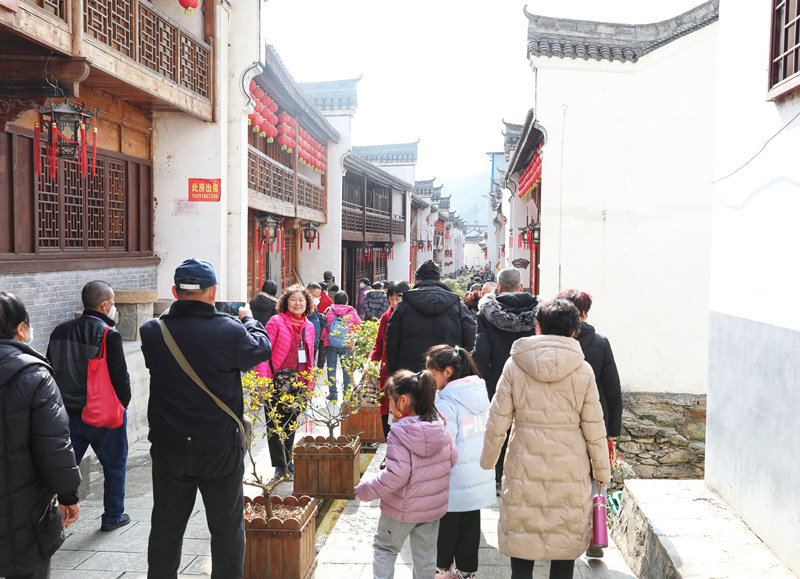 旅客們開(kāi)啟探尋鎮(zhèn)安的春之旅。敬雨橋攝