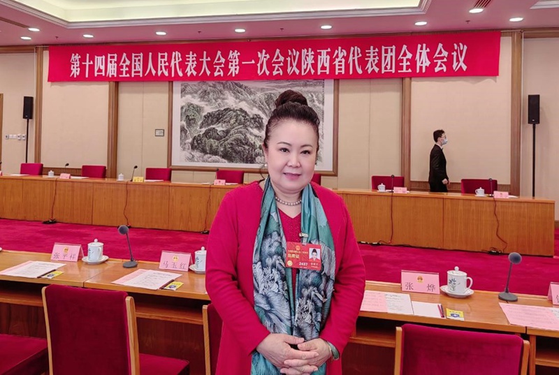 全國人大代表、陜西省美術(shù)家協(xié)會副主席宋亞平。受訪者供圖