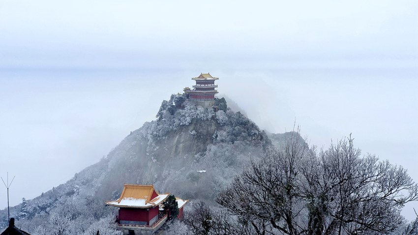 春雪落秦嶺，銀裝素裹美如畫。張玉龍 攝
