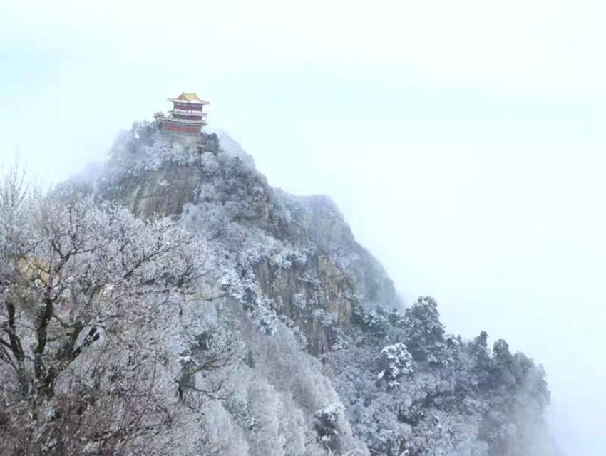 春雪落秦嶺，銀裝素裹美如畫(huà)。張玉龍 攝