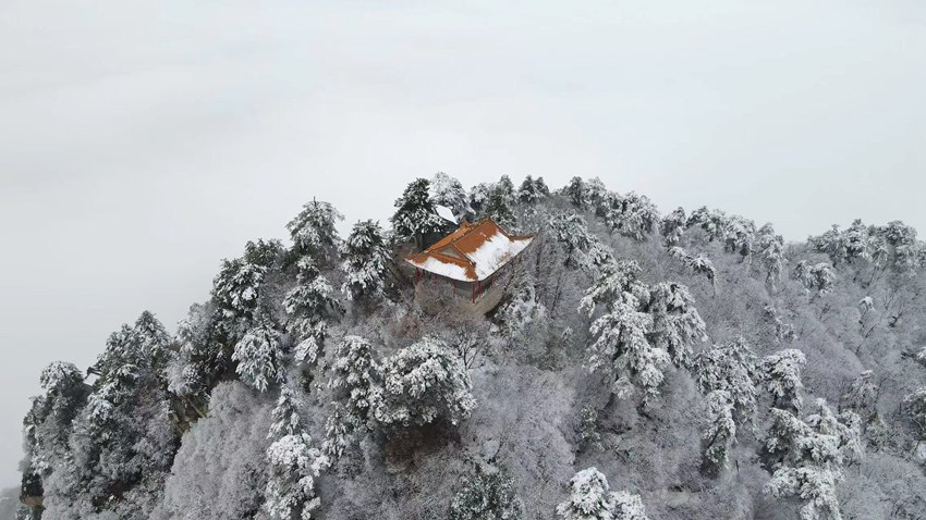 春雪落秦嶺，銀裝素裹美如畫。張玉龍 攝