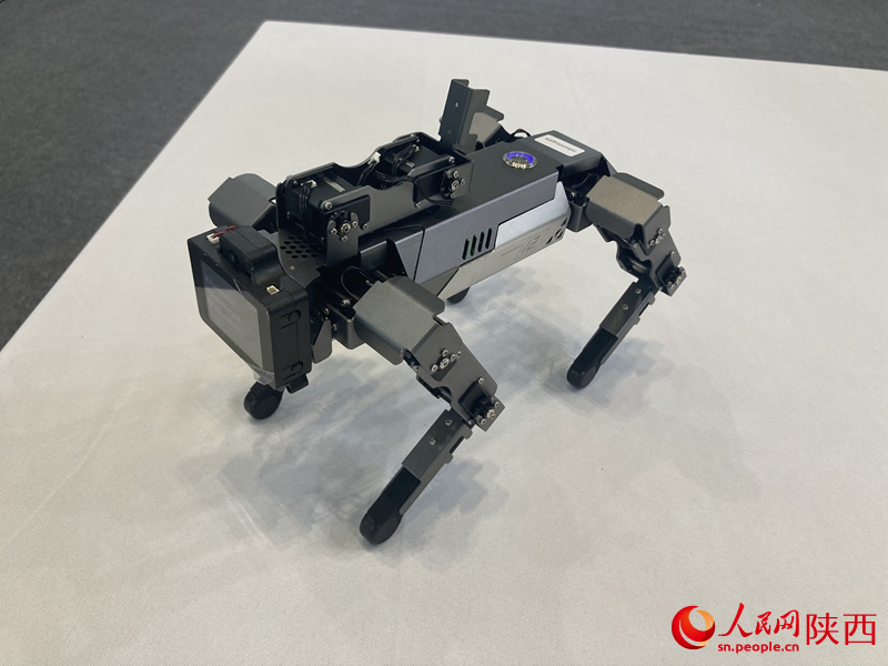 人工智能機(jī)器人。 人民網(wǎng) 吳德鋒攝
