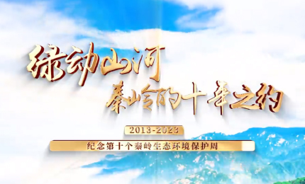 綠動(dòng)山河 秦嶺的十年之約秦嶺和合南北，澤被天下，是我國(guó)的中央水塔，是中華文化的重要象征。秦嶺寬博的胸懷容納世間萬(wàn)物，將眾多名山攬入懷中，將千百河流送出群山，用滿山林蔭呵護(hù)萬(wàn)千生靈。