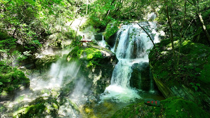 青山綠水牛背梁。牛背梁國(guó)家森林公園供圖