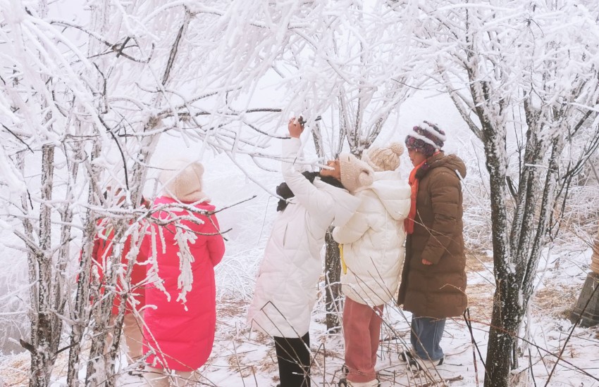 旅客們在秦嶺賞雪，游玩，拍照留念。呂春輝攝
