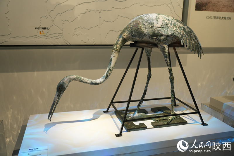 “何止秦俑---秦陵苑囿之K0007陪葬坑”展覽于1月31日開展。李志強 攝