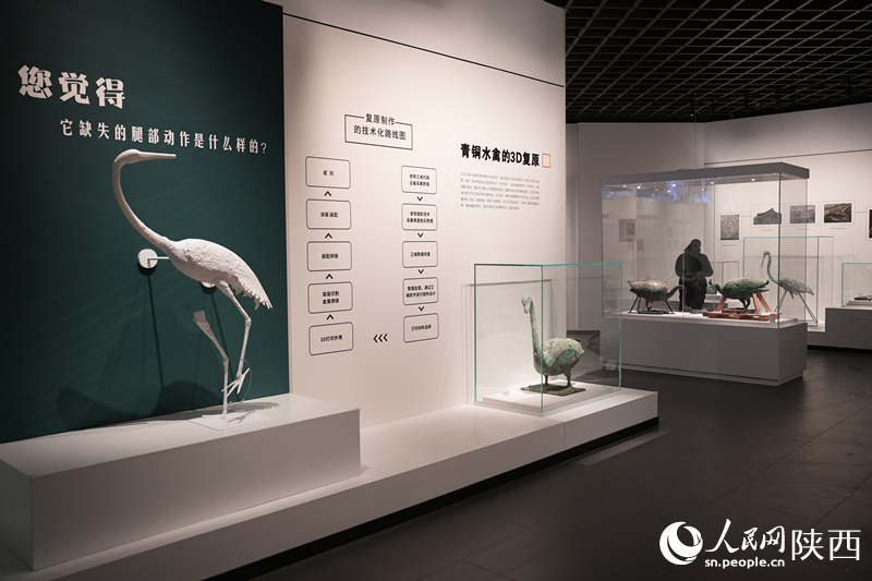 “何止秦俑---秦陵苑囿之K0007陪葬坑”展覽于1月31日開展。李志強 攝