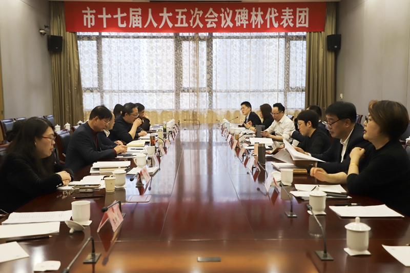 西安市十七屆人大五次會(huì)議碑林代表團(tuán)審議現(xiàn)場(chǎng)。人民網(wǎng)記者孫挺 攝