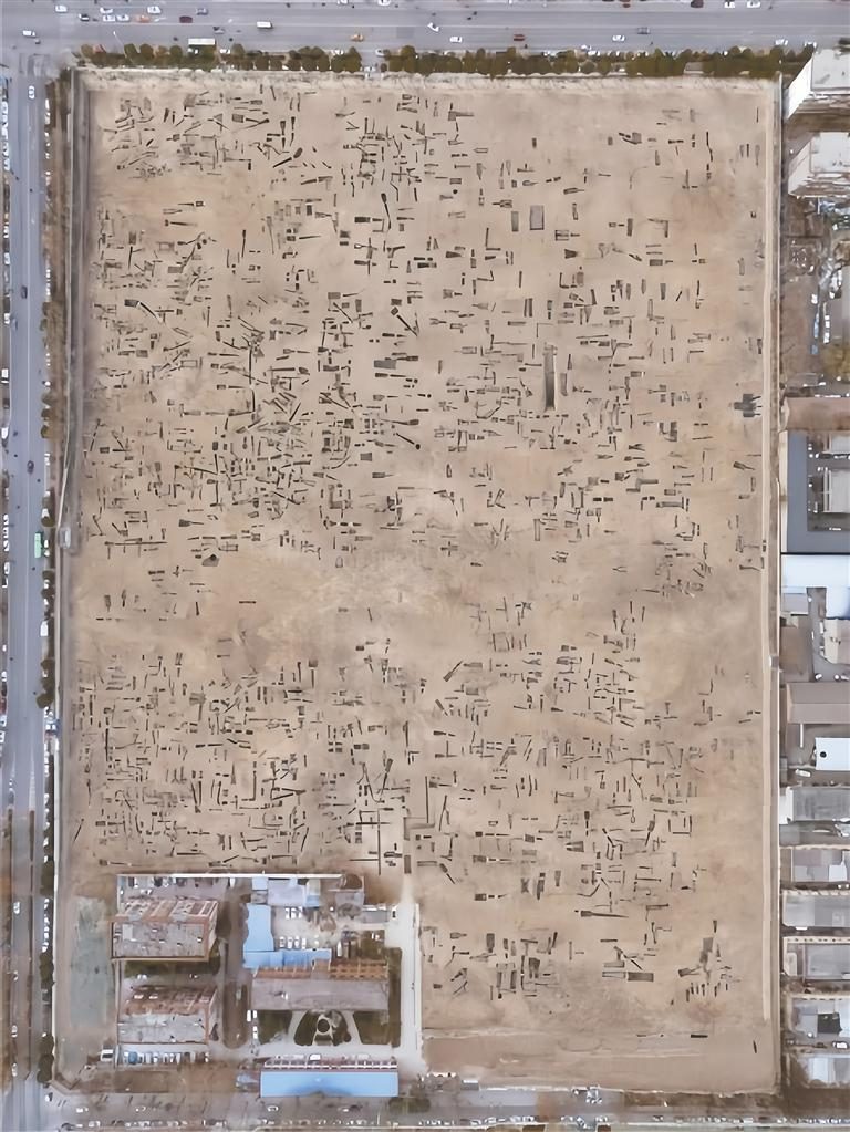 大白楊墓地本次發(fā)掘全景。