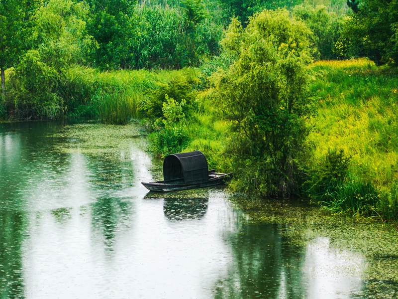灃河生態(tài)濕地公園。西咸新區(qū)融媒體中心供圖