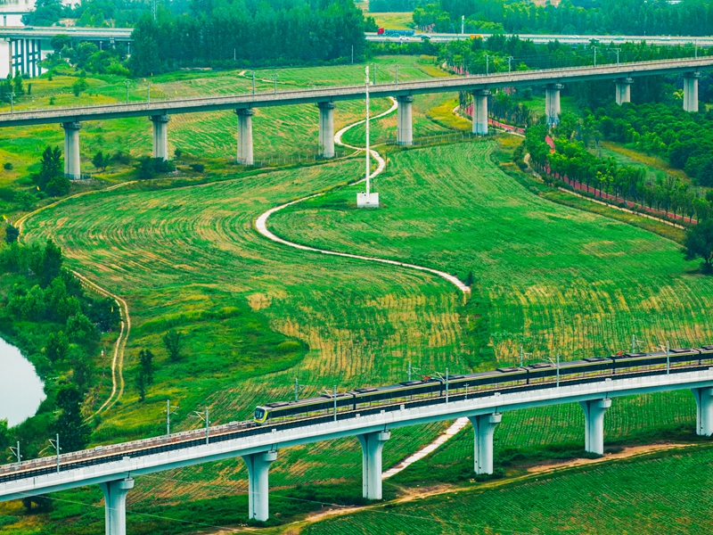 灃河生態(tài)濕地公園。西咸新區(qū)融媒體中心供圖