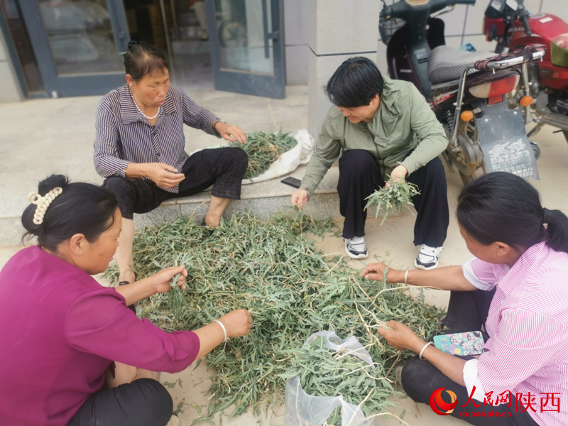白秀葉（右二）在村委大院和村民們拉家常。人民網(wǎng) 王麗攝