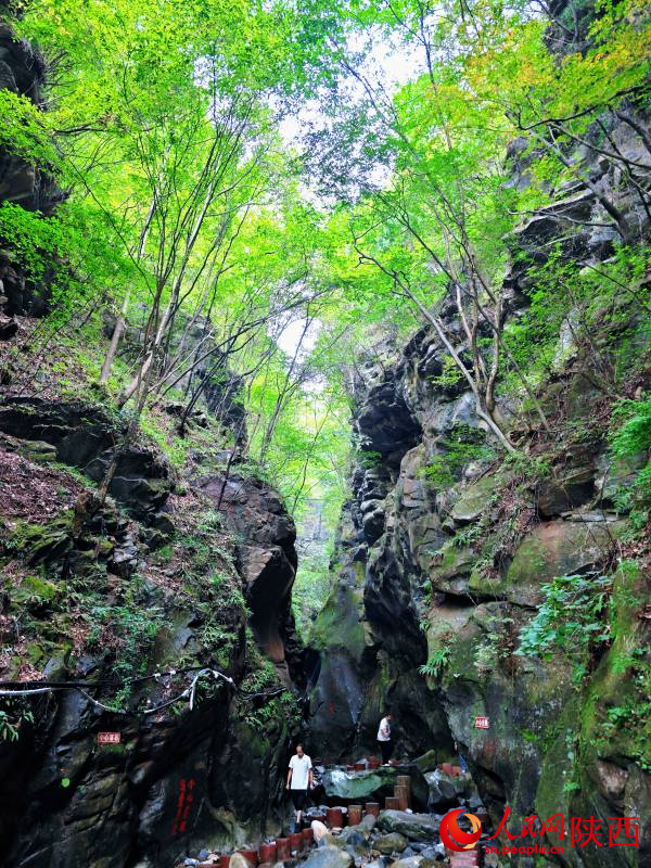 9月9日，采風(fēng)團(tuán)來到厚畛子生態(tài)實(shí)驗(yàn)林場。人民網(wǎng)記者 孫挺攝