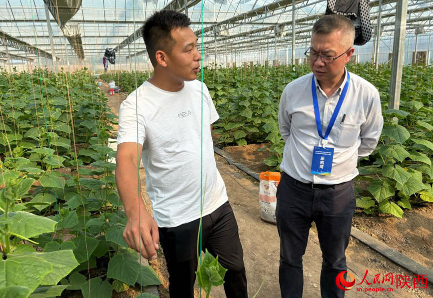 客商在與三原縣一家農(nóng)業(yè)公司的負(fù)責(zé)人交談。
