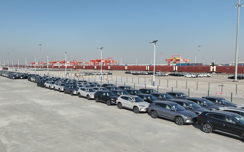 新能源汽車專用倉儲區(qū)內(nèi)停放的車輛。賈智煒 攝