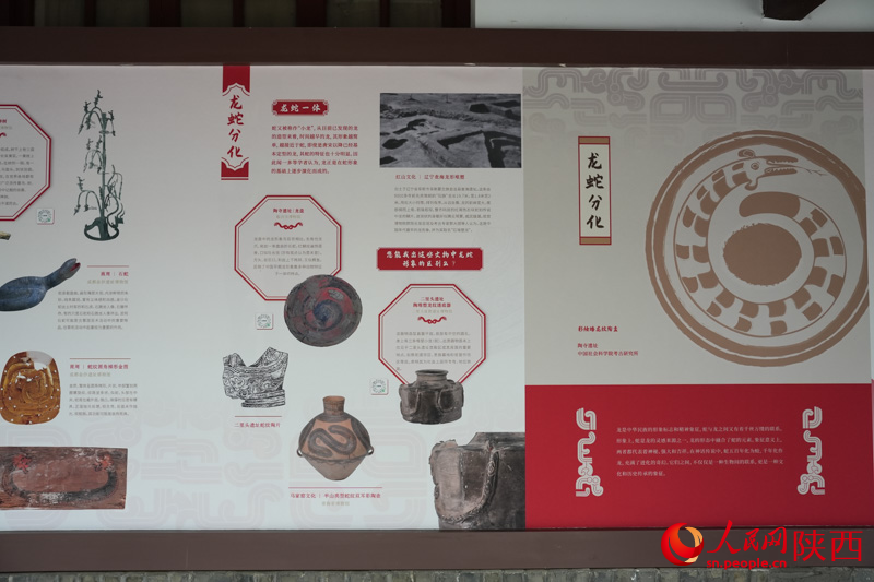 乙巳蛇年生肖文物大聯(lián)展整合了全國各地文博單位的優(yōu)質(zhì)館藏資源。人民網(wǎng)記者 李志強攝