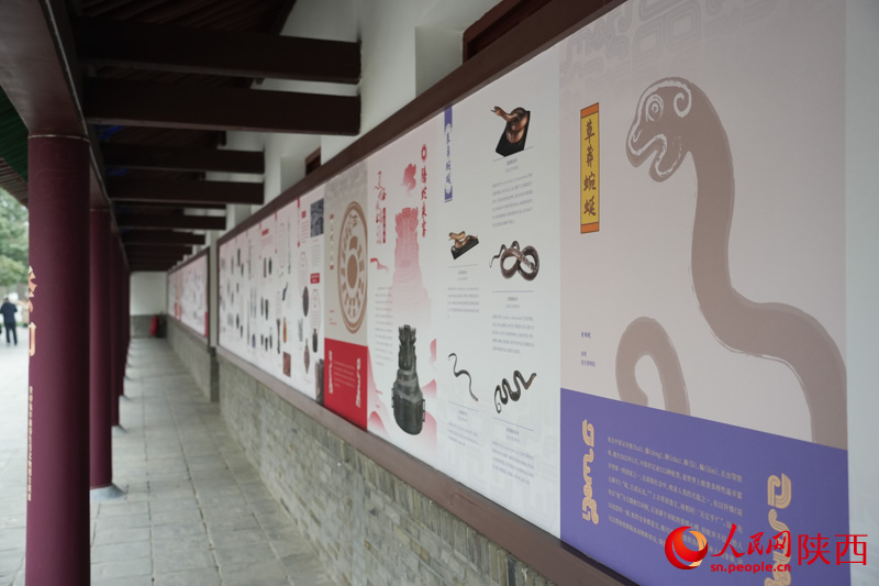 乙巳蛇年生肖文物大聯(lián)展整合了全國(guó)各地文博單位的優(yōu)質(zhì)館藏資源。人民網(wǎng)記者 李志強(qiáng)攝