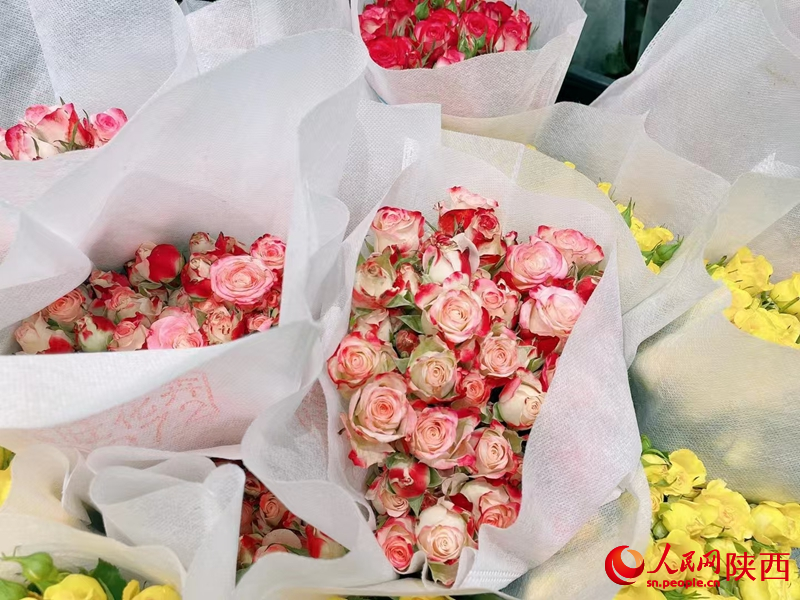 新春傳統(tǒng)花卉。人民網(wǎng) 王麗攝