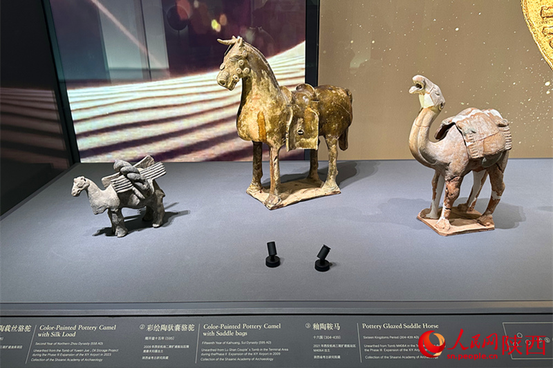 四方館展覽的出土文物。人民網(wǎng)記者 李志強(qiáng)攝
