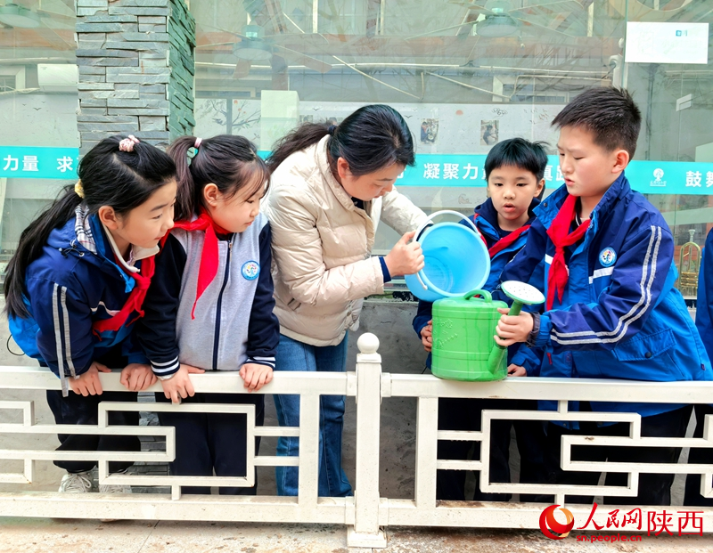 3月11日,西安市碑林區(qū)東廳門小學(xué)四年級2班的同學(xué)們在老師帶領(lǐng)下合力將泡好的化肥水倒入花灑,有序?yàn)樾@樹木澆水。人民網(wǎng)記者 孫挺攝