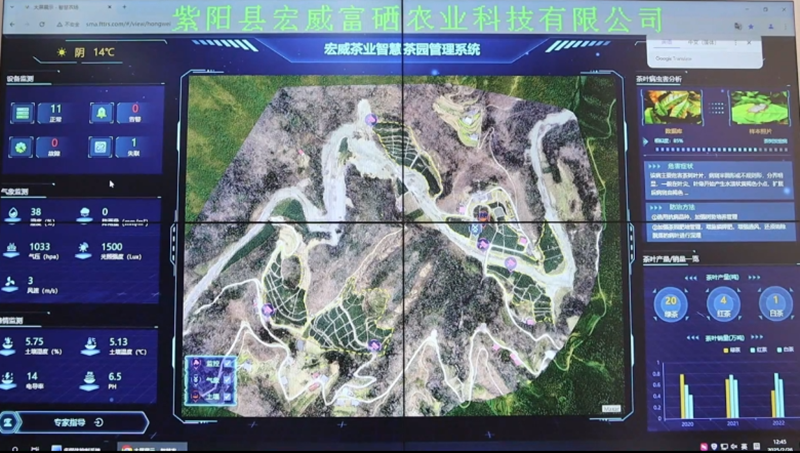 智慧茶園管理系統(tǒng)。紫陽(yáng)縣融媒體中心供圖