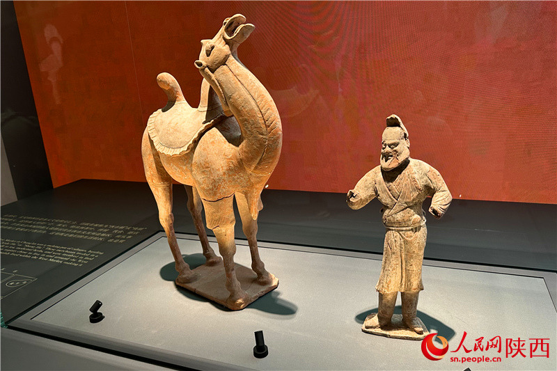 四方館展覽的出土文物。人民網(wǎng)記者 李志強攝
