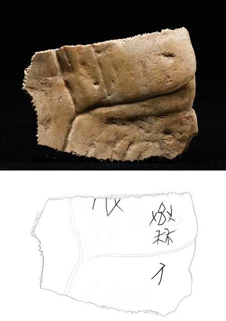 記載有“秦人”二字的甲骨。陜西省考古研究院供圖