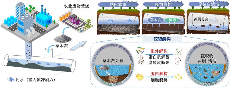 草木灰驅(qū)動污水管道沉積物原位自清潔應(yīng)用場景示意圖。受訪者供圖