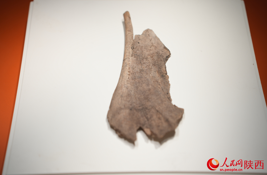 “吉金·中國”展上展出的精品文物。人民網(wǎng)記者 李志強(qiáng)攝