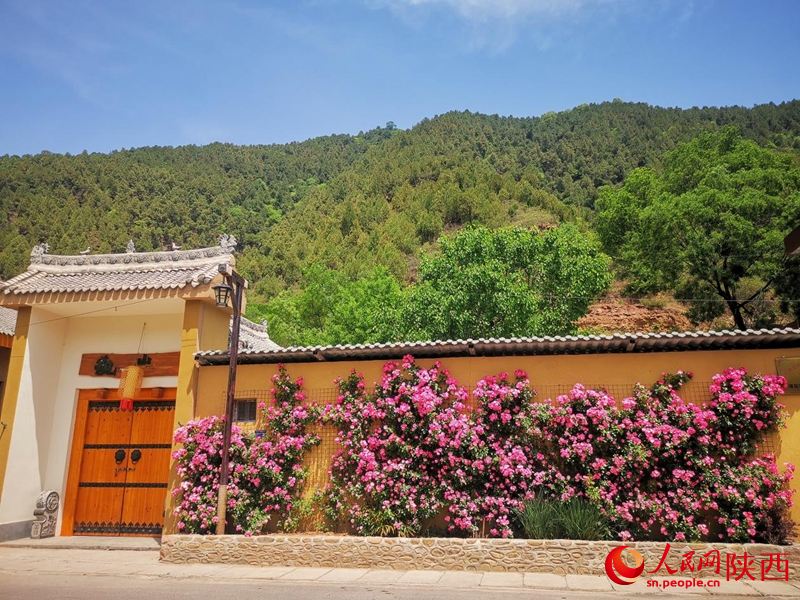 神玉村靠公路的農(nóng)戶，家家都有“花墻”。人民網(wǎng) 王麗攝