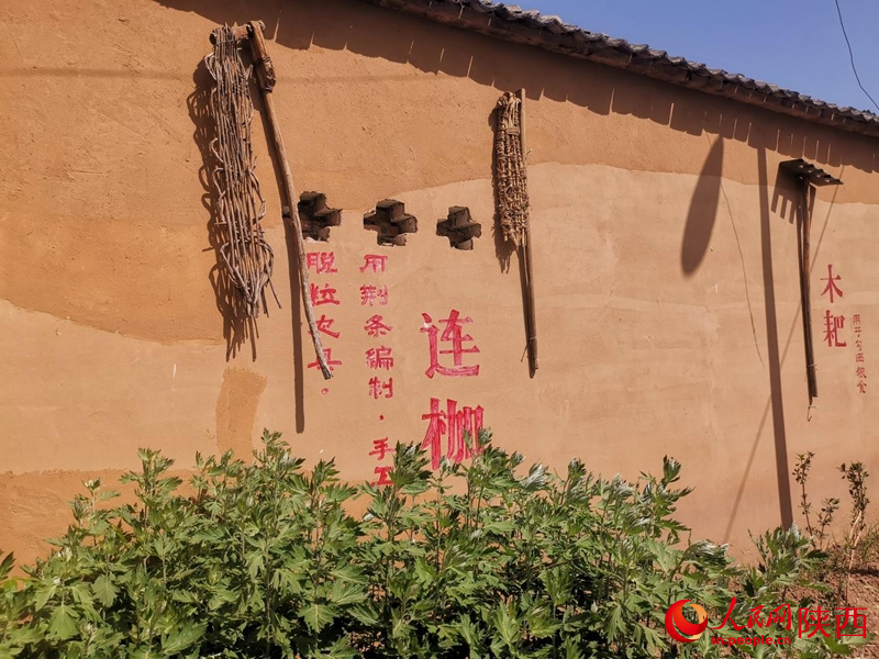 連枷和木耙。人民網(wǎng) 王麗攝