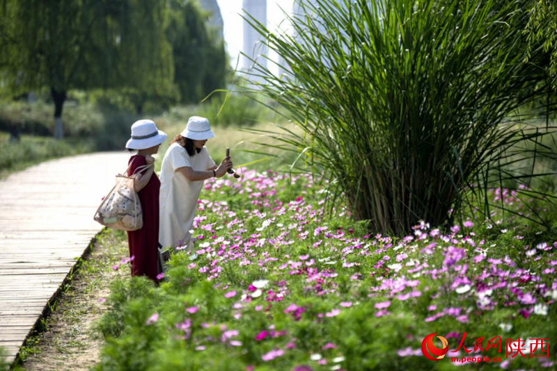 天漢濕地公園內，市民在休閑賞景。人民網(wǎng)記者 翁奇羽攝