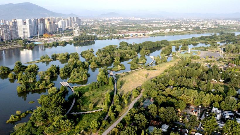 漢江之畔“幸福園”的生態(tài)圖譜夏至漢江畔，陜西省漢中市天漢濕地公園風(fēng)光正好。目之所及，芙蓉出水，綠裙搖曳；水鳥(niǎo)翩躚，游人如織。