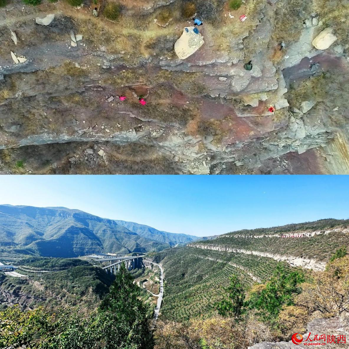 上圖為曾經(jīng)一片荒蕪的黃河懸崖邊。資料圖  下圖為如今黃河懸崖邊草木蔥蘢。人民網(wǎng)記者 白鴿攝