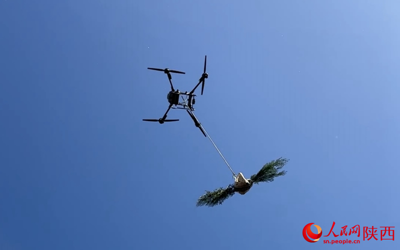 無人機將樹苗運到造林點。人民網(wǎng)記者 白鴿攝