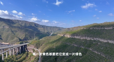 黃河崖壁種樹(shù)記