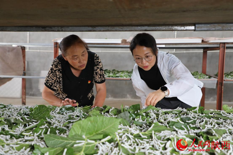 馮莉萍（左）正在向技術(shù)專家學(xué)習(xí)養(yǎng)殖技術(shù)。人民網(wǎng)記者 李志強(qiáng)攝