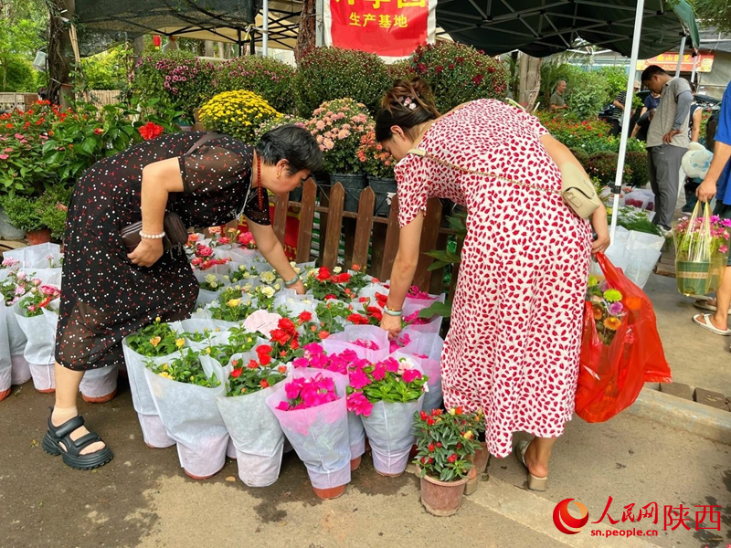 在秦嶺花世界花卉市場，市民選購鮮花、綠植。人民網(wǎng)記者 魏鑫攝